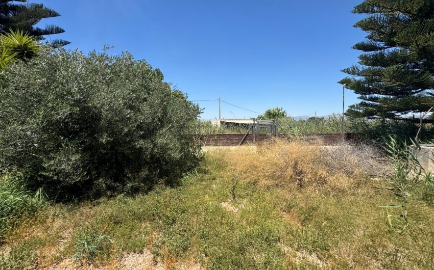 Herverkoop - Finca -
Dolores - Comunidad Valenciana