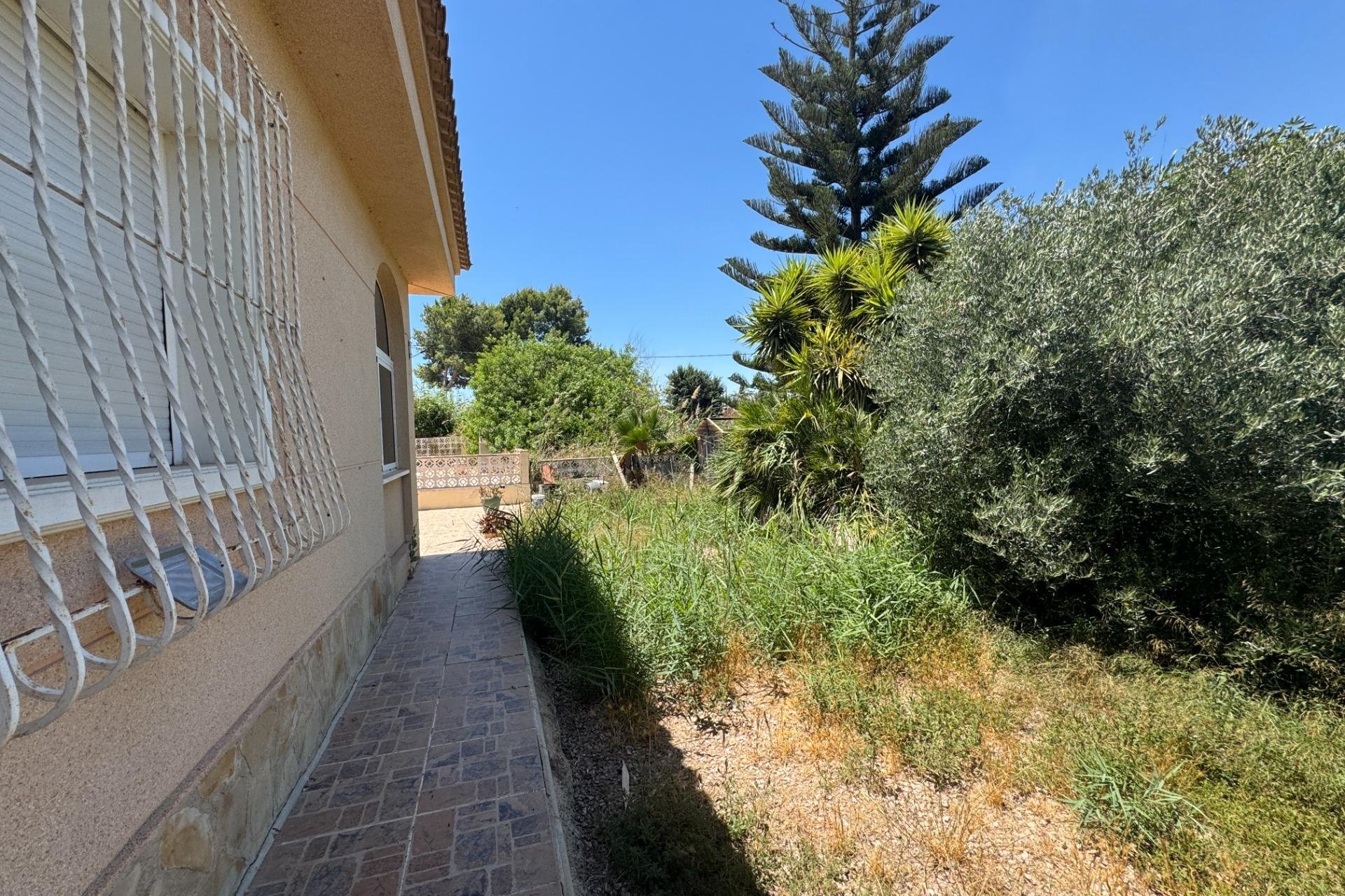 Herverkoop - Finca -
Dolores - Comunidad Valenciana