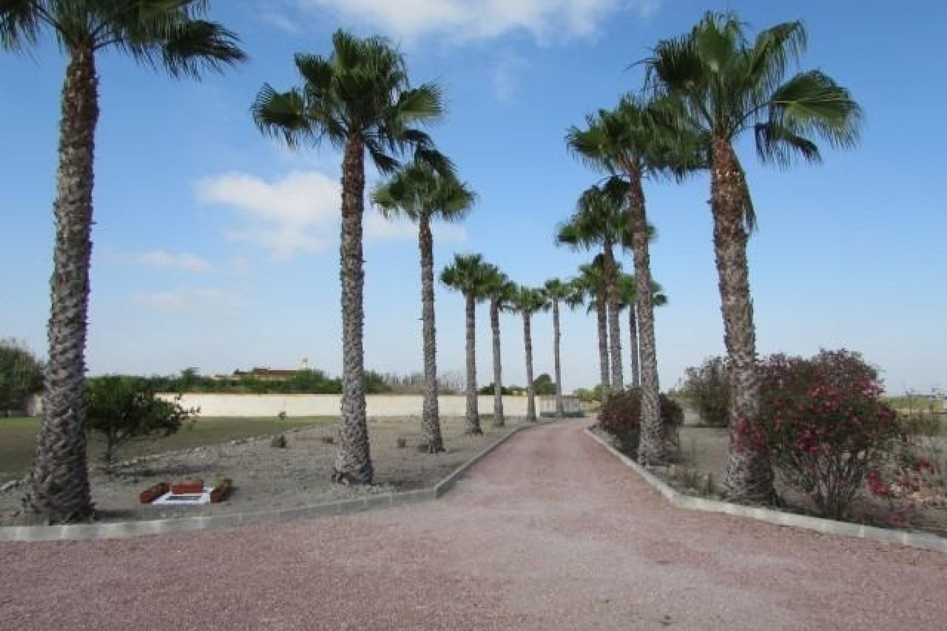 Herverkoop - Finca -
Dolores - Comunidad Valenciana