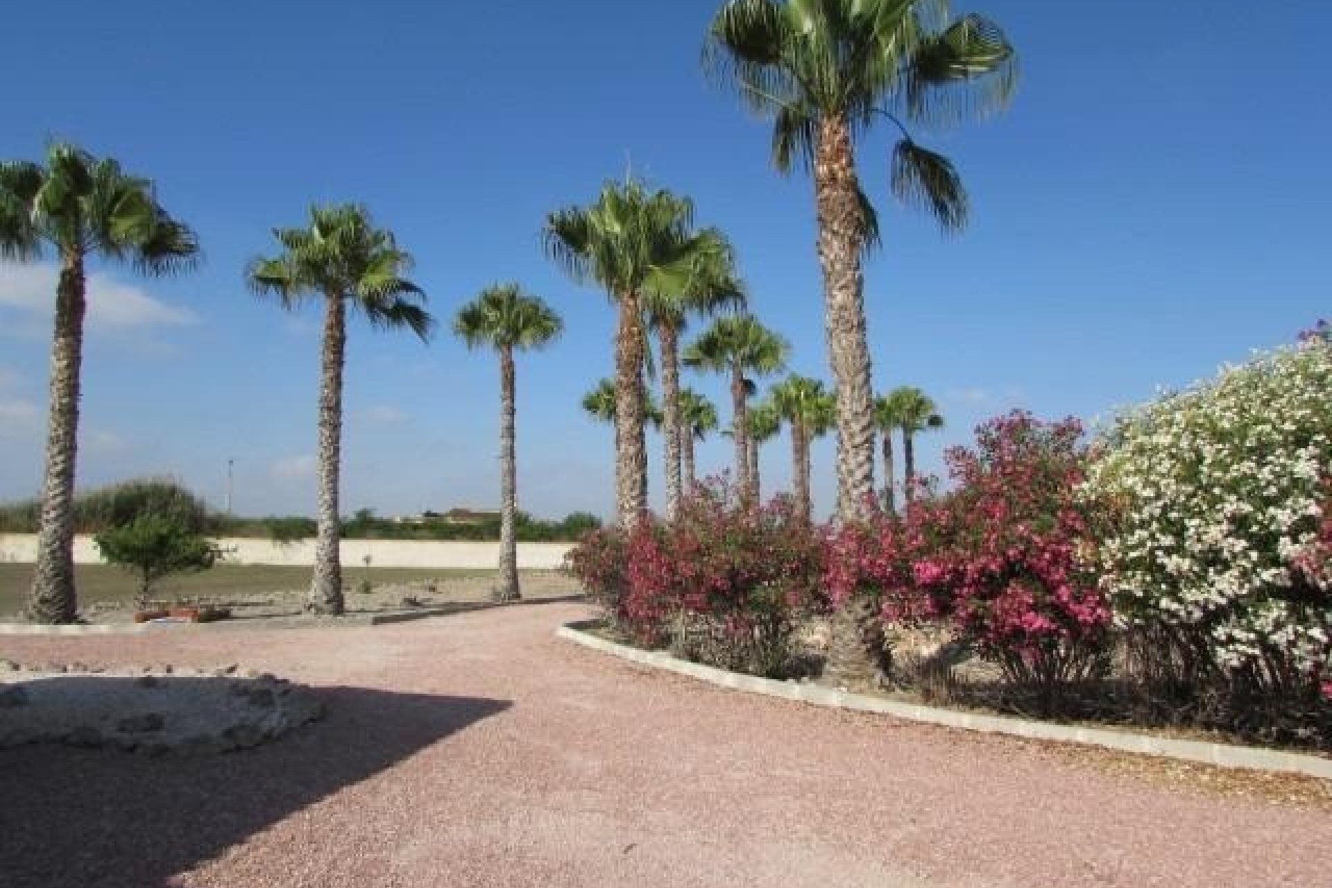 Herverkoop - Finca -
Dolores - Comunidad Valenciana