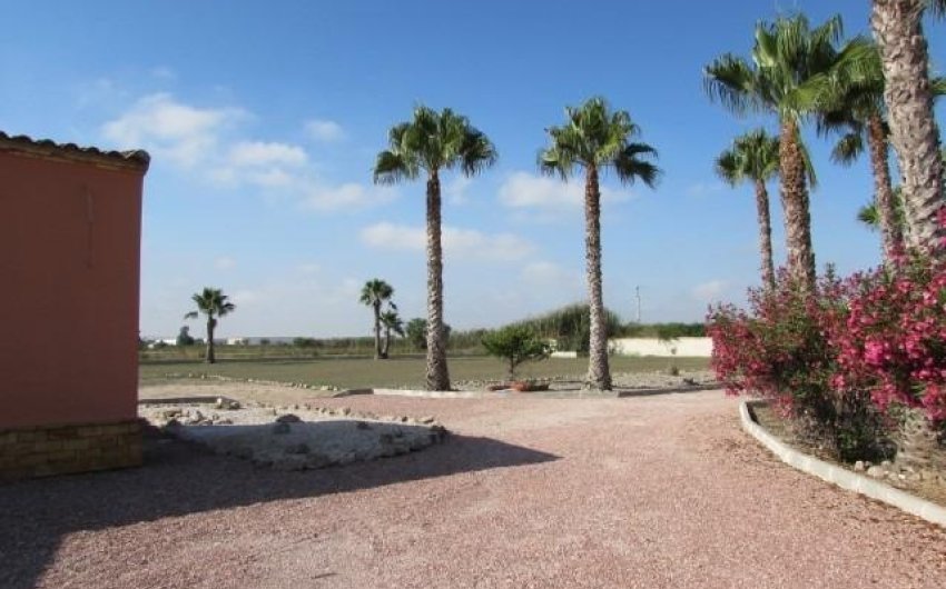 Herverkoop - Finca -
Dolores - Comunidad Valenciana