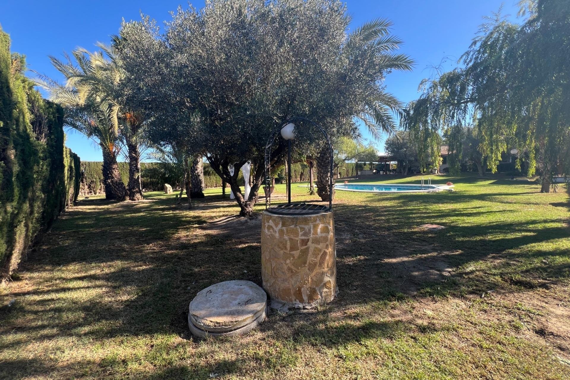 Herverkoop - Finca -
Dolores - Comunidad Valenciana