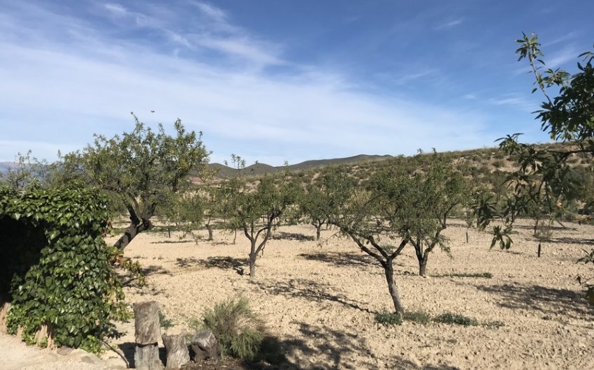 Herverkoop - Finca -
Lorca - Costa Calida