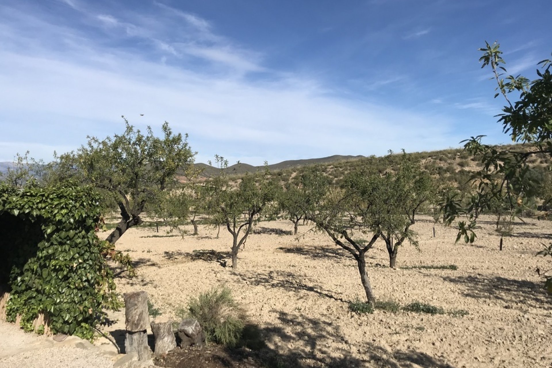 Herverkoop - Finca -
Lorca - Costa Calida