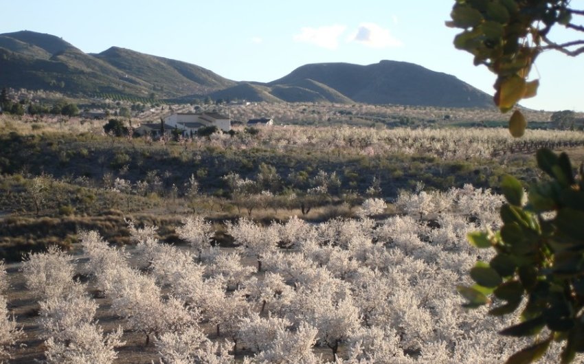 Herverkoop - Finca -
Lorca - Costa Calida