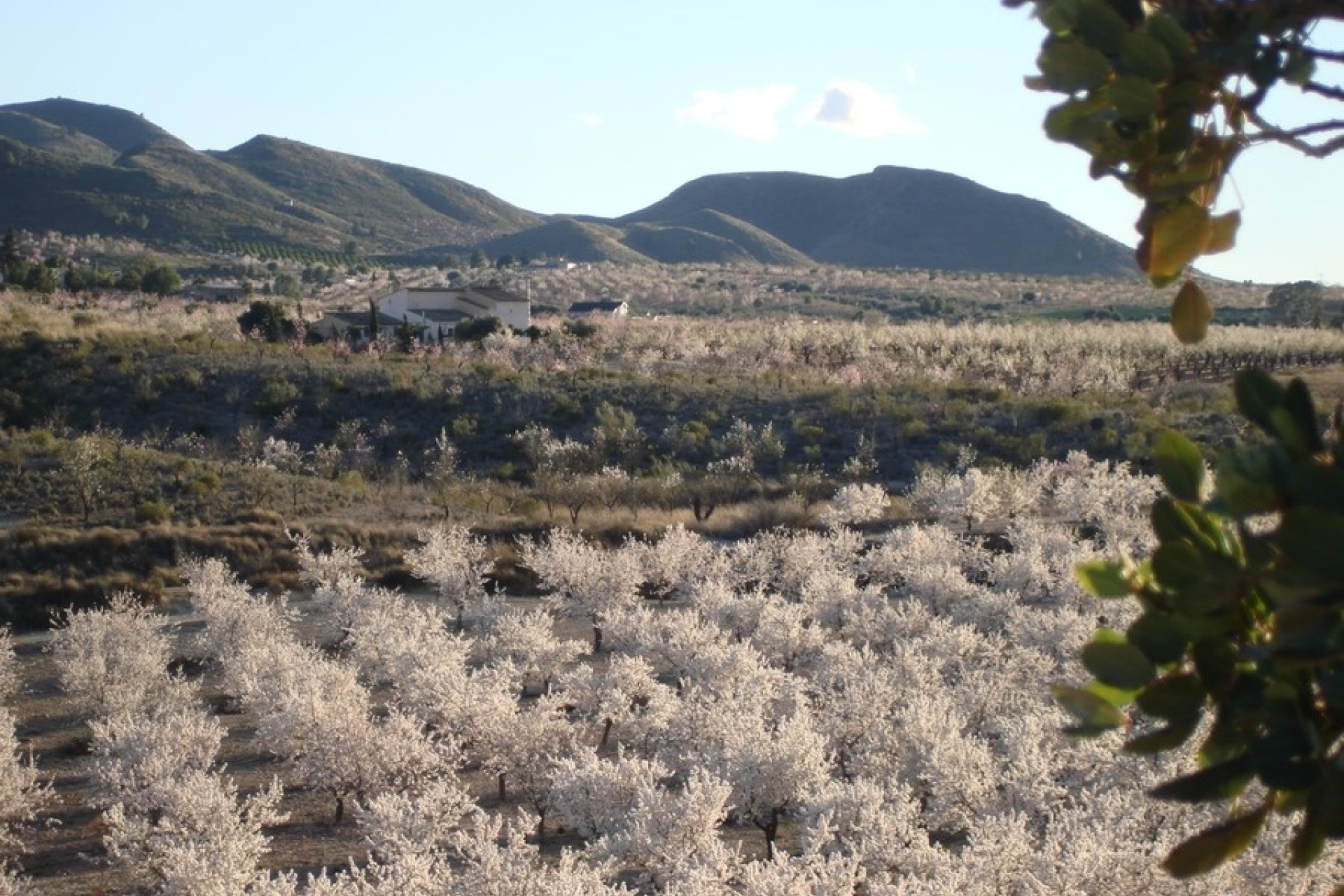 Herverkoop - Finca -
Lorca - Costa Calida