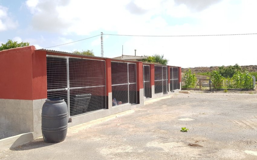 Herverkoop - Finca -
Los Montesinos