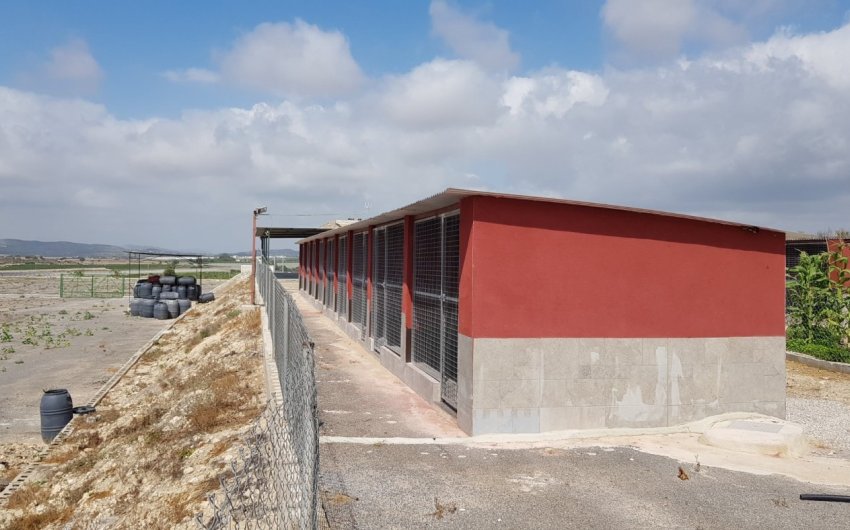 Herverkoop - Finca -
Los Montesinos