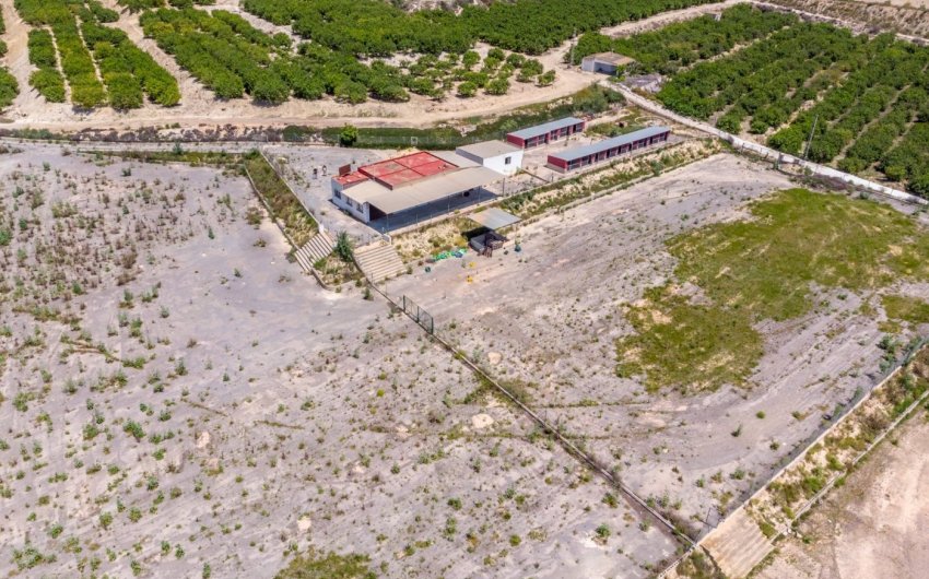 Herverkoop - Finca -
Los Montesinos