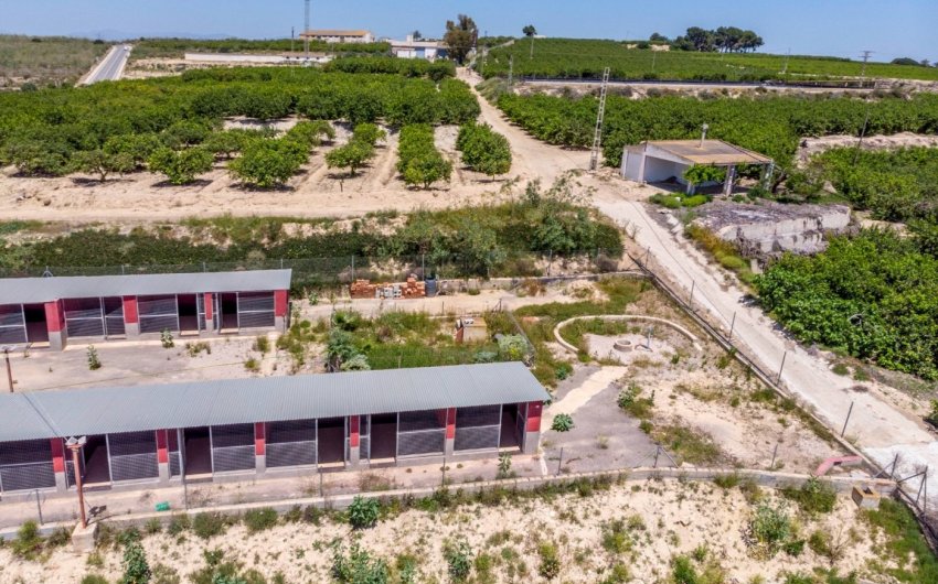 Herverkoop - Finca -
Los Montesinos