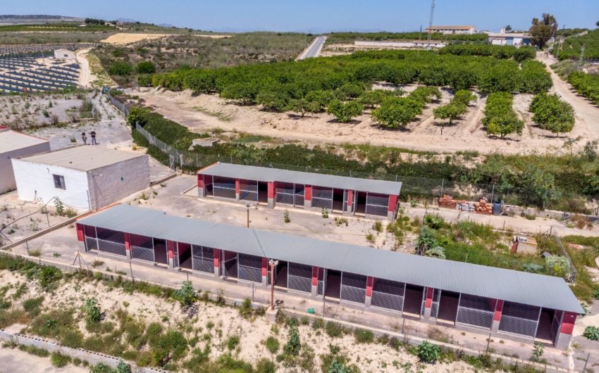 Herverkoop - Finca -
Los Montesinos