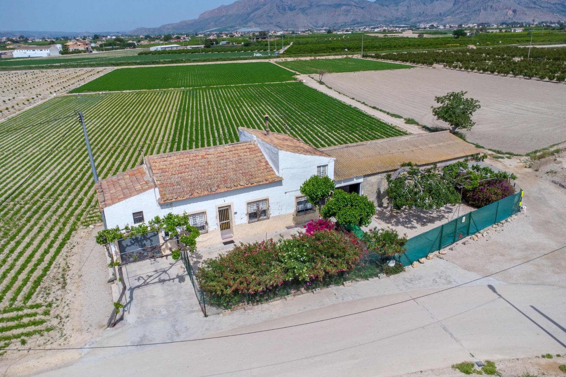 Herverkoop - Finca -
Orihuela - Desamparados-hurchillo-torremendo