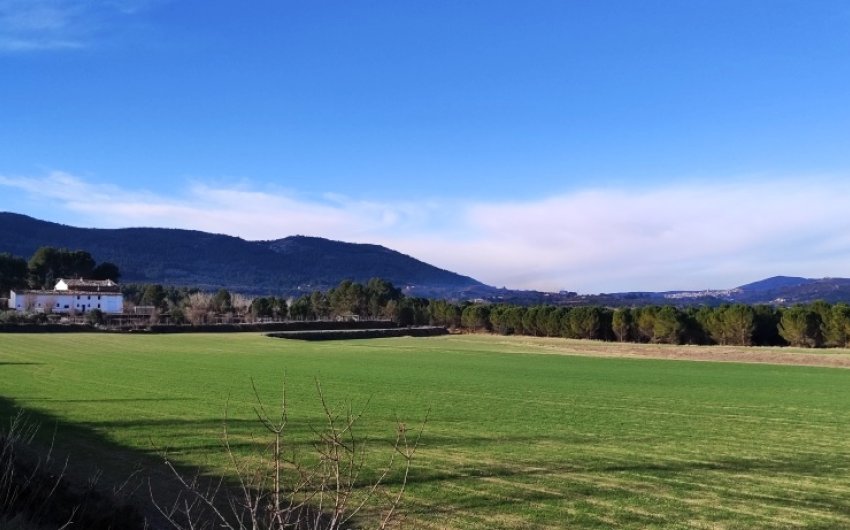 Herverkoop - Land -
Alfafara