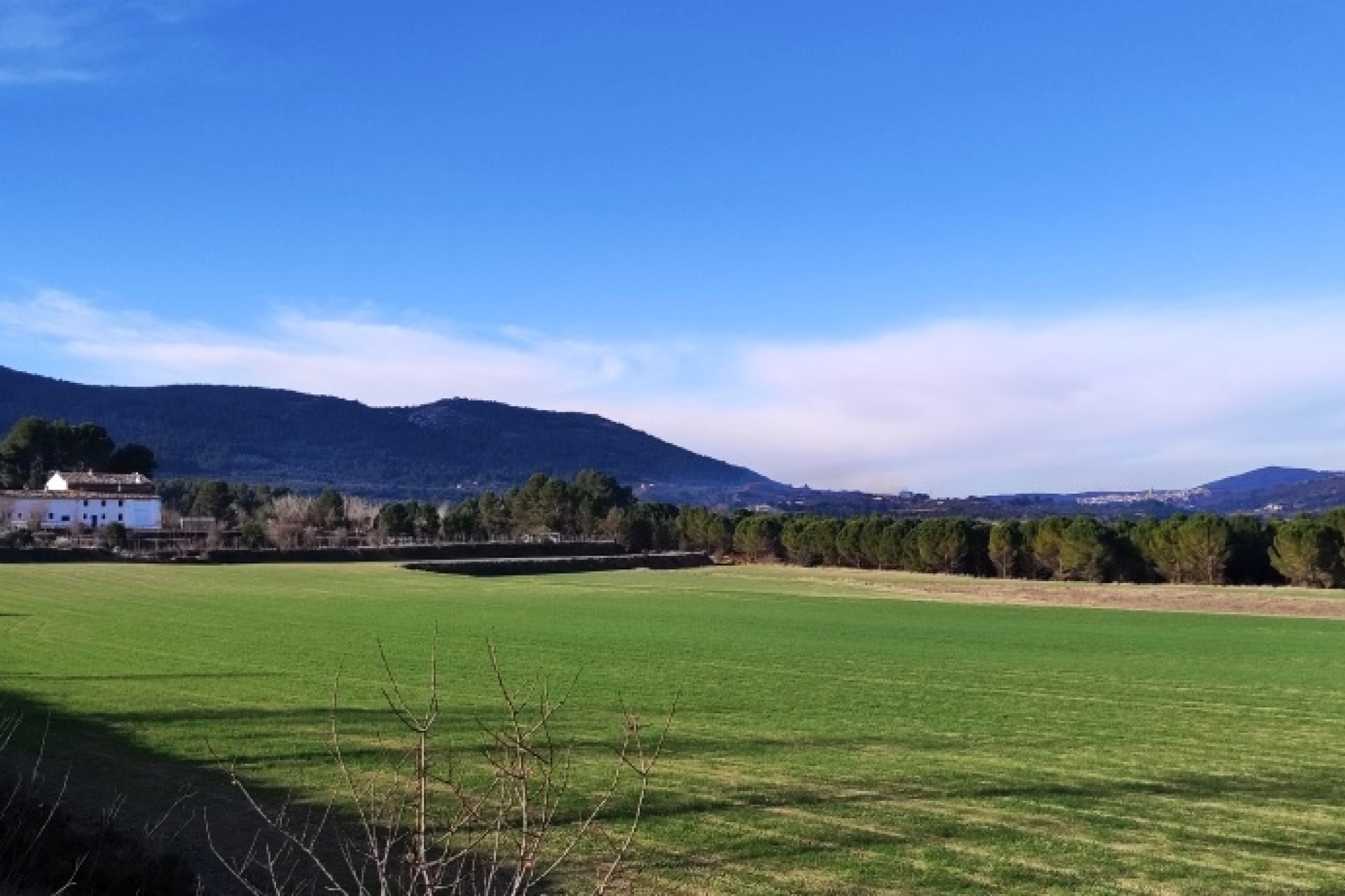 Herverkoop - Land -
Alfafara