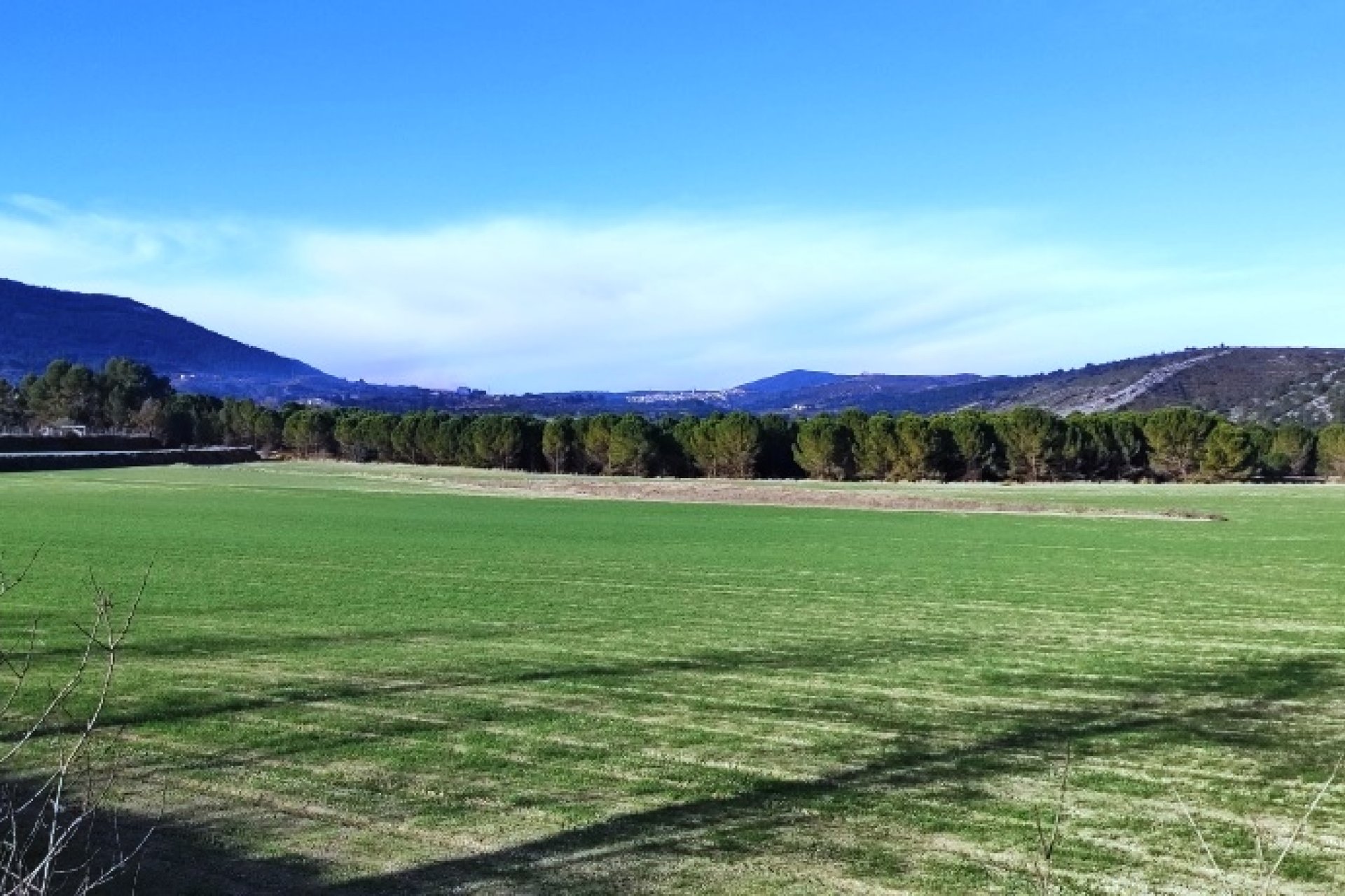 Herverkoop - Land -
Alfafara