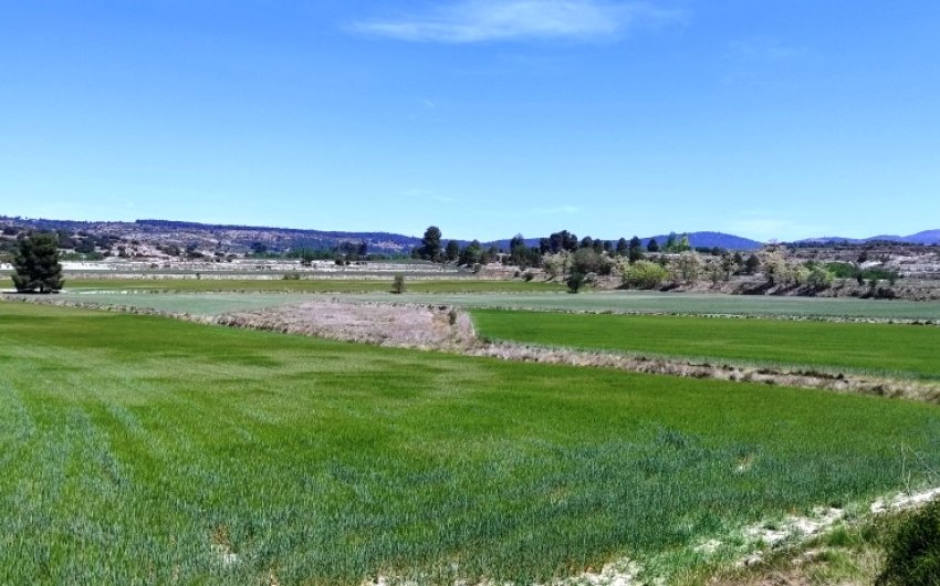 Herverkoop - Land -
Alfafara