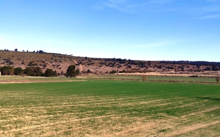 Herverkoop - Land -
Alfafara