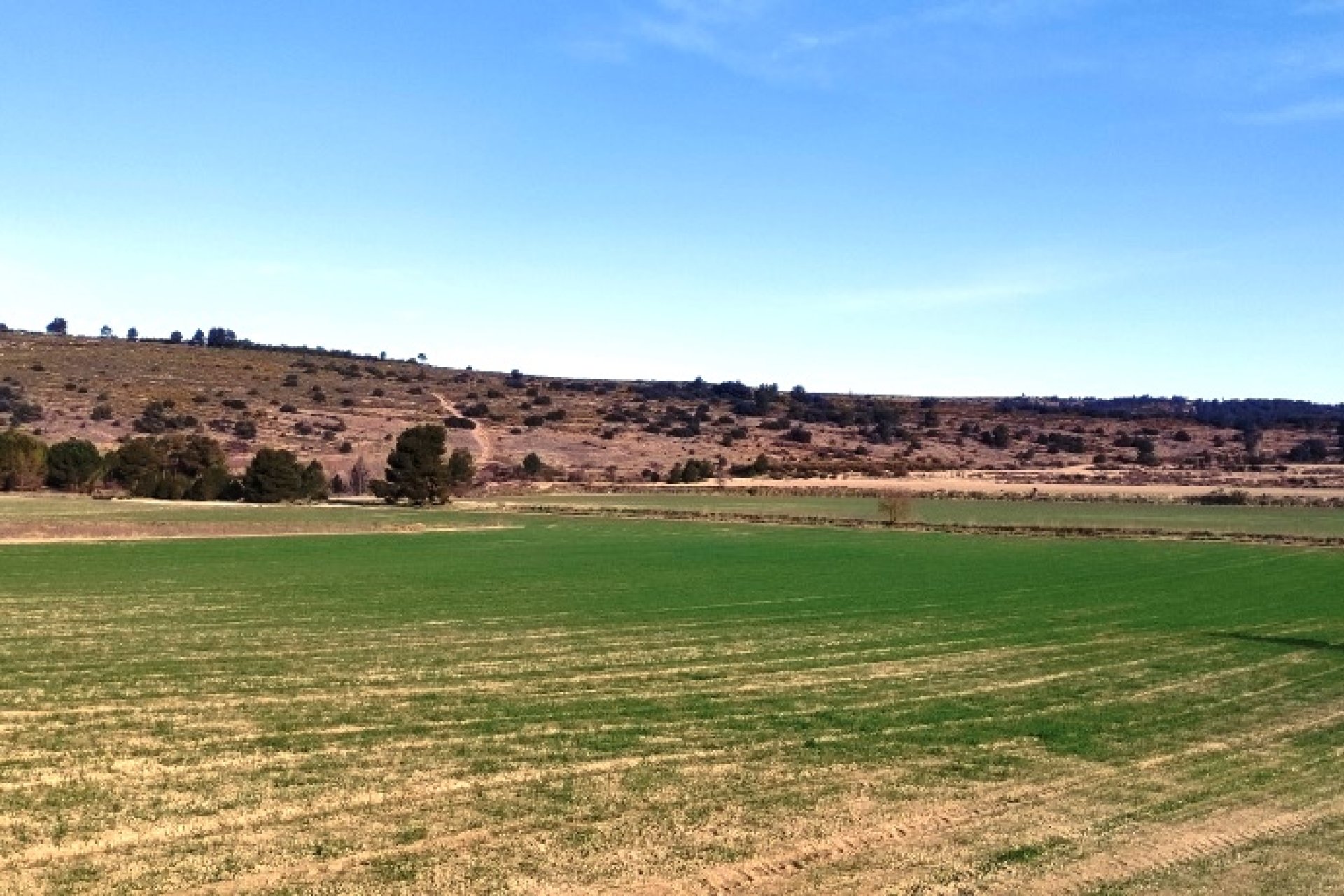 Herverkoop - Land -
Alfafara