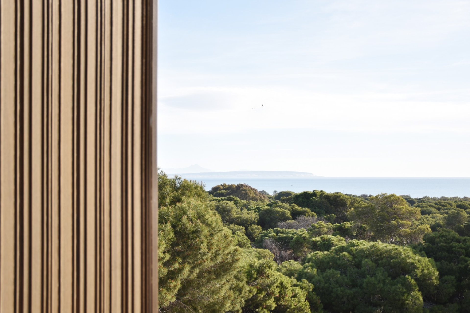 Herverkoop - Land -
Guardamar del Segura