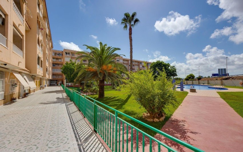 Herverkoop - Penthouse -
Torrevieja - Centro