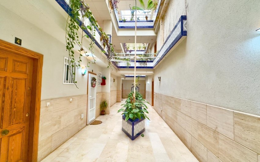 Herverkoop - Penthouse -
Torrevieja - Centro