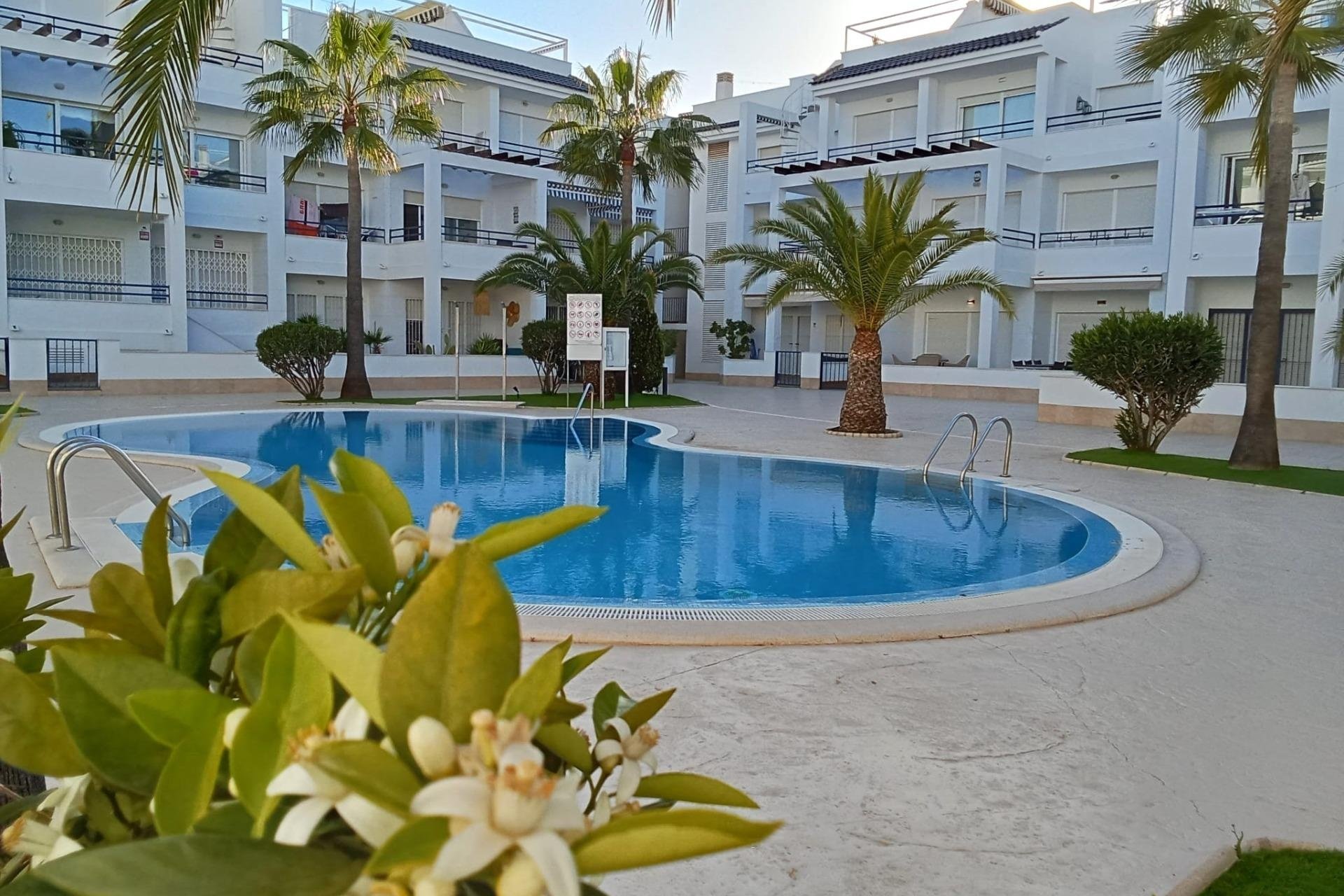 Herverkoop - Penthouse -
Torrevieja - La Veleta