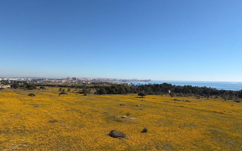 Herverkoop - Penthouse -
Torrevieja - Punta Prima