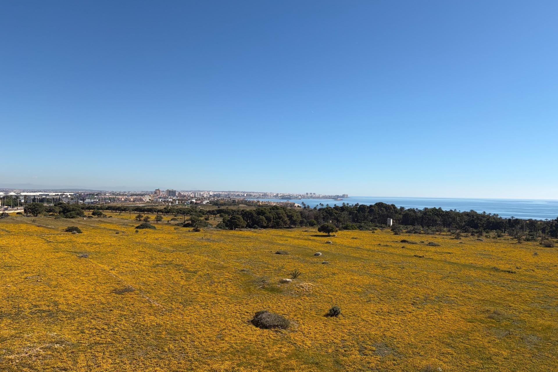 Herverkoop - Penthouse -
Torrevieja - Punta Prima