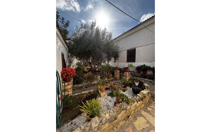 Herverkoop - Town House -
Benejúzar - Comunidad Valenciana