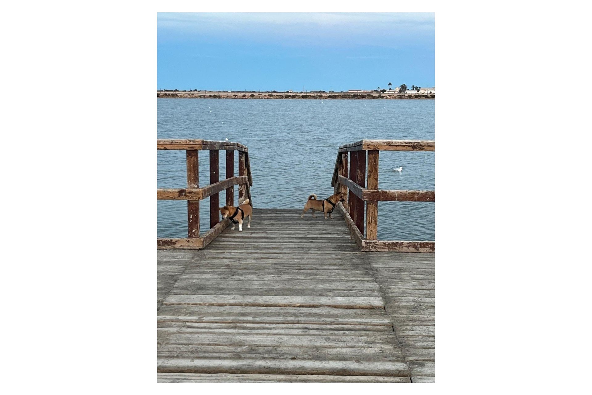 Herverkoop - Town House -
San Pedro del Pinatar - Costa Calida