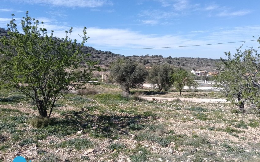 Herverkoop - Villa -
Abanilla