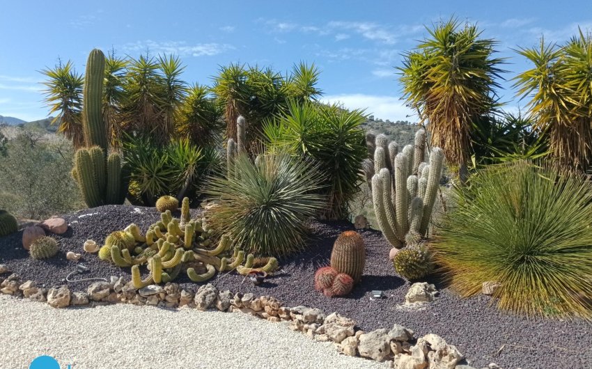 Herverkoop - Villa -
Abanilla