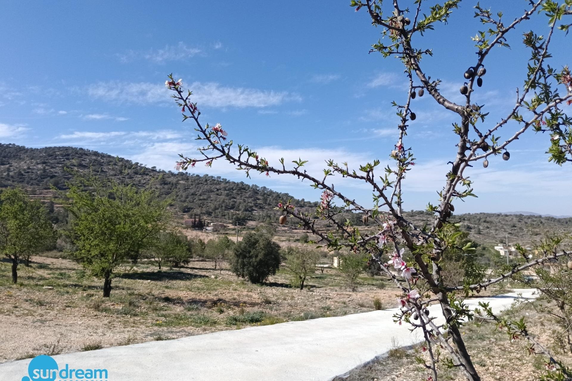 Herverkoop - Villa -
Abanilla