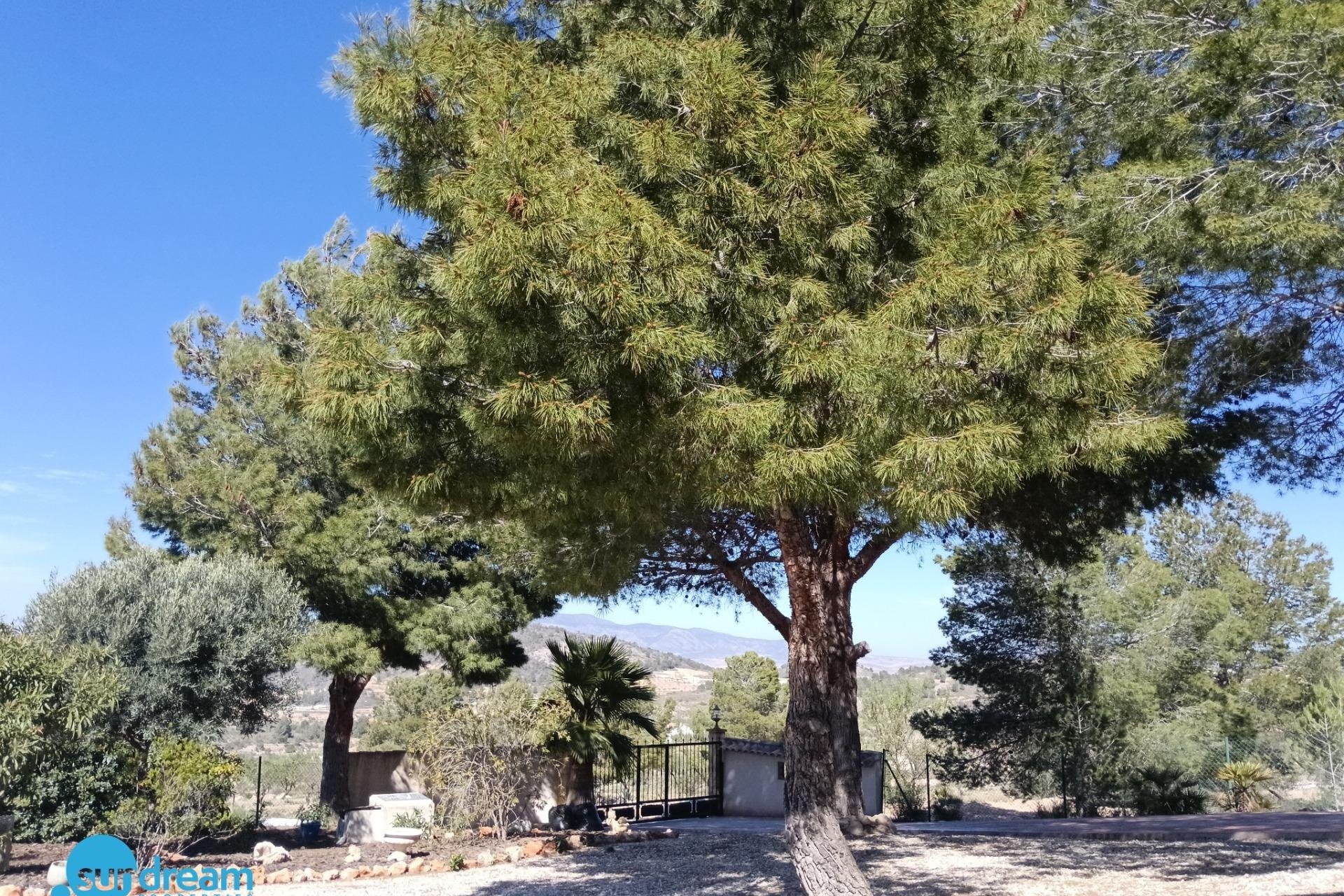 Herverkoop - Villa -
Abanilla