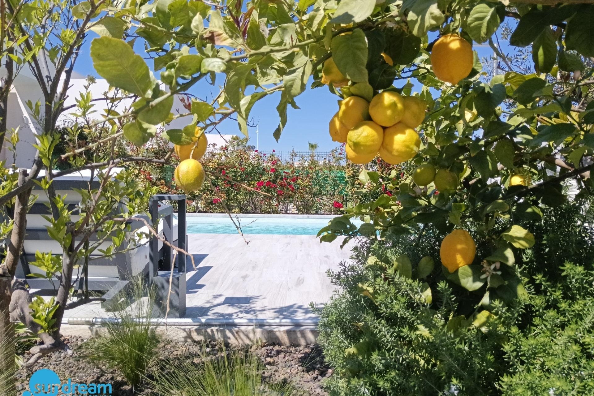 Herverkoop - Villa -
Algorfa - Club de Golf La Finca