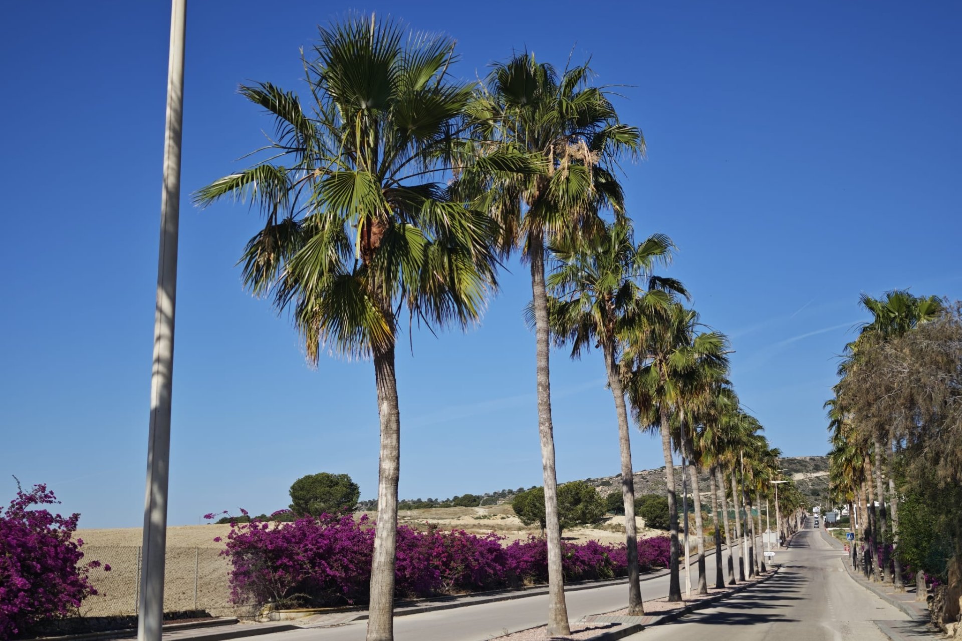 Herverkoop - Villa -
Algorfa - Inland