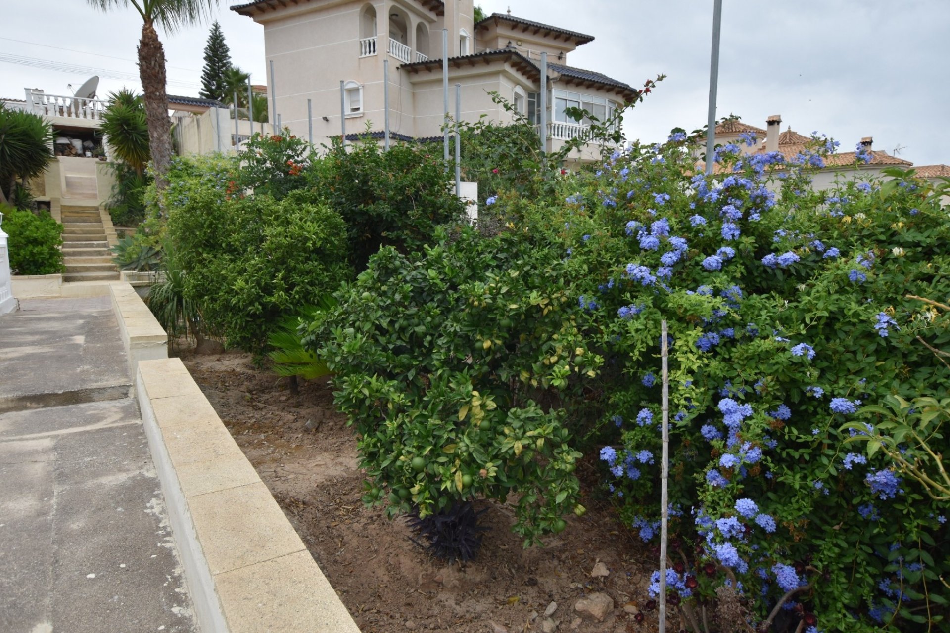 Herverkoop - Villa -
Algorfa - Inland