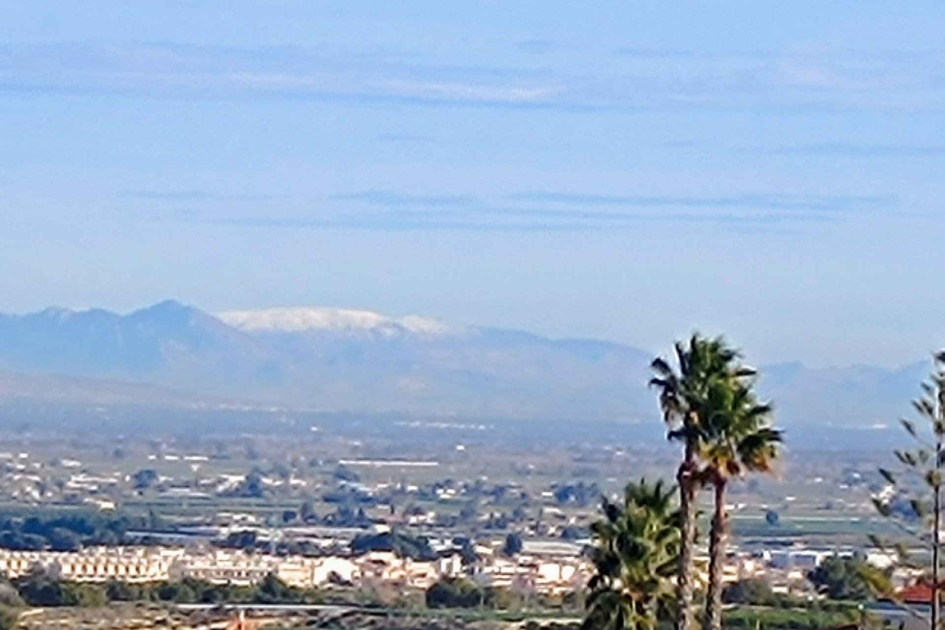 Herverkoop - Villa -
Algorfa - Inland