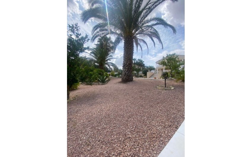 Herverkoop - Villa -
Algorfa - Inland