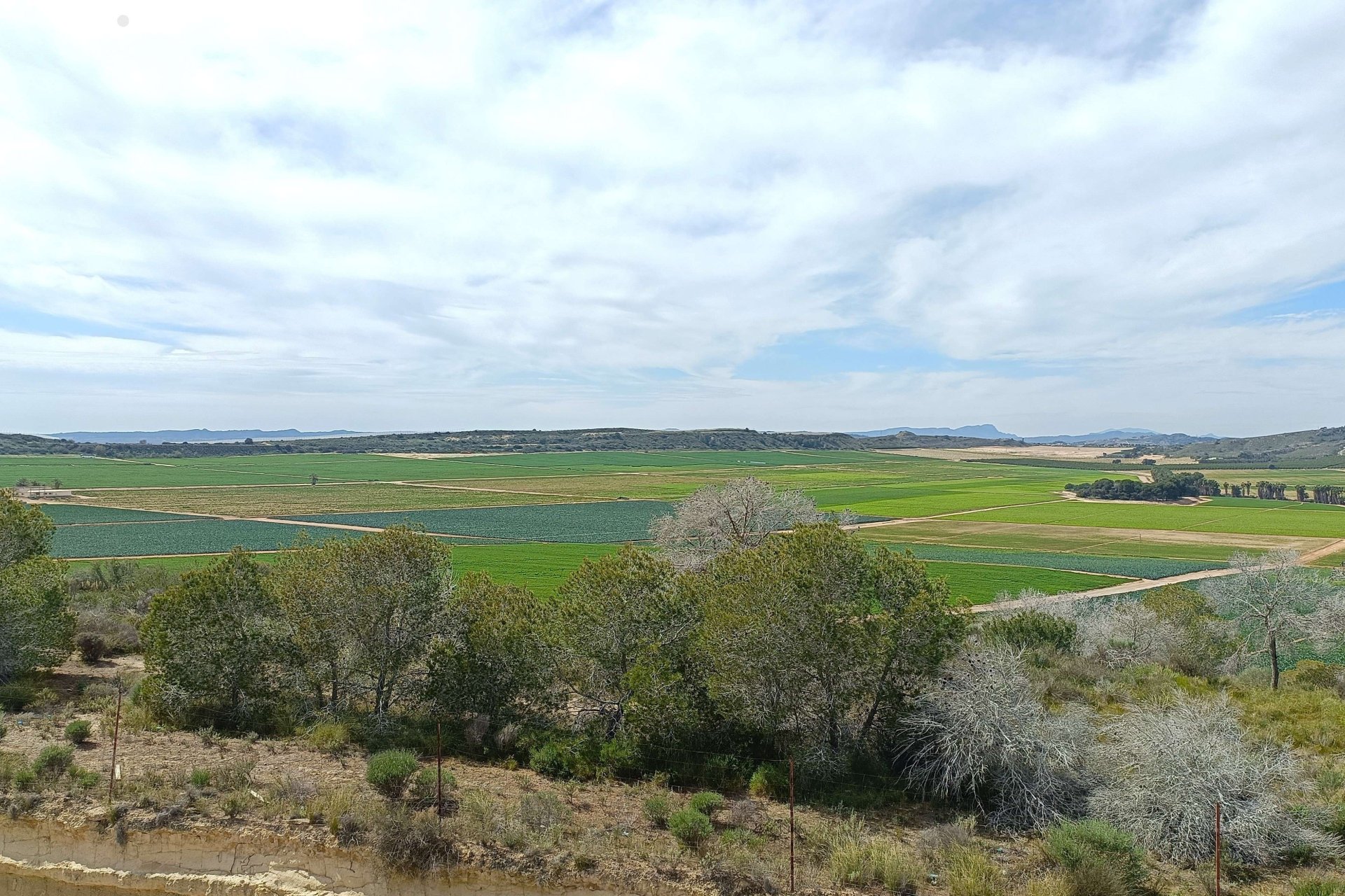 Herverkoop - Villa -
Algorfa - Inland