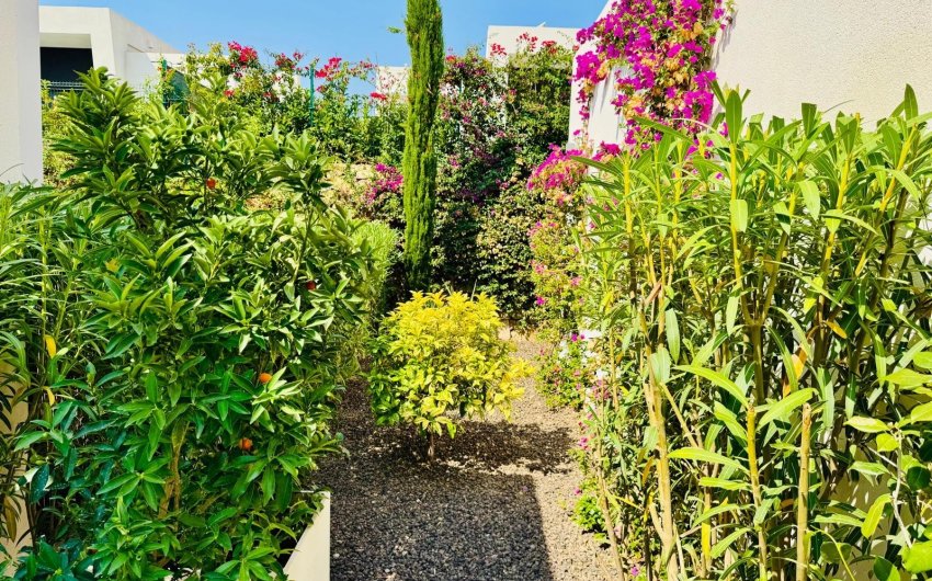 Herverkoop - Villa -
Algorfa - La finca Golf