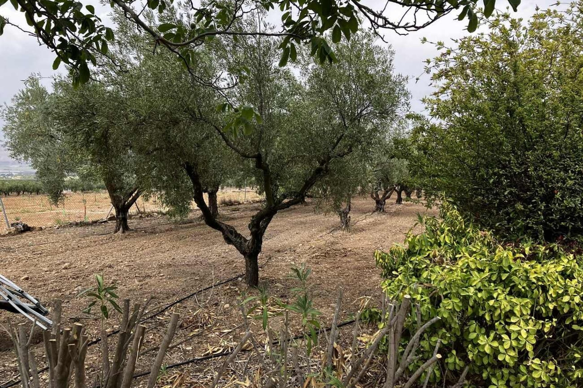 Herverkoop - Villa -
Biar - Costa Blanca