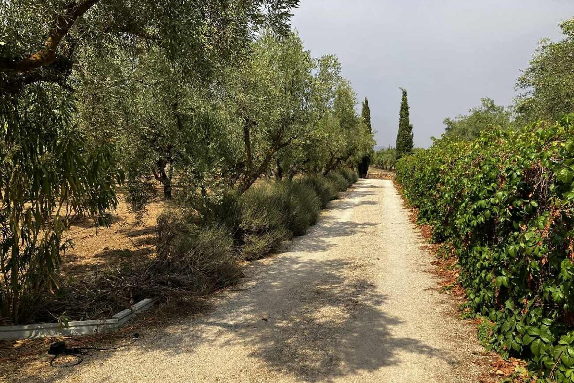 Herverkoop - Villa -
Biar - Costa Blanca