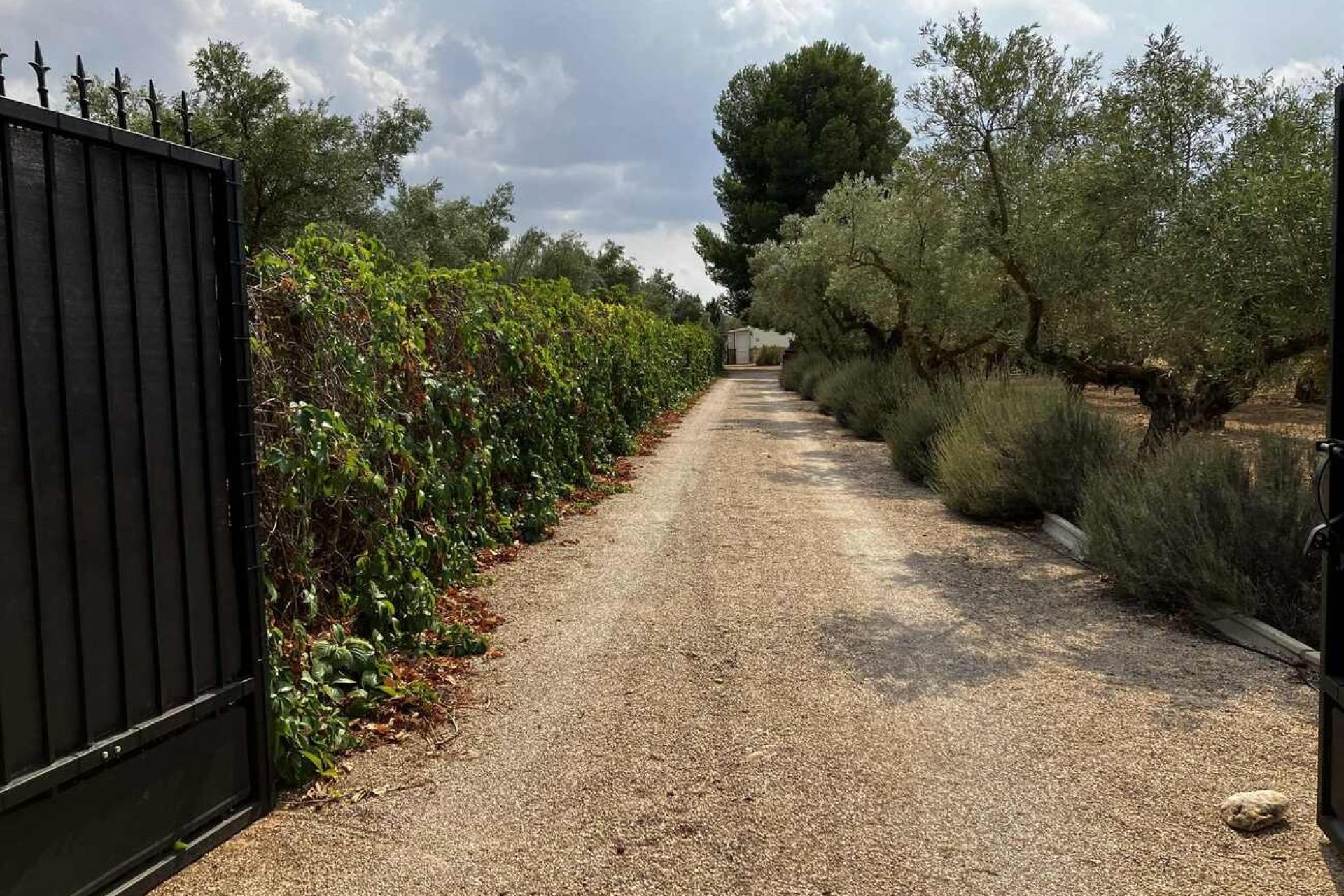 Herverkoop - Villa -
Biar - Costa Blanca