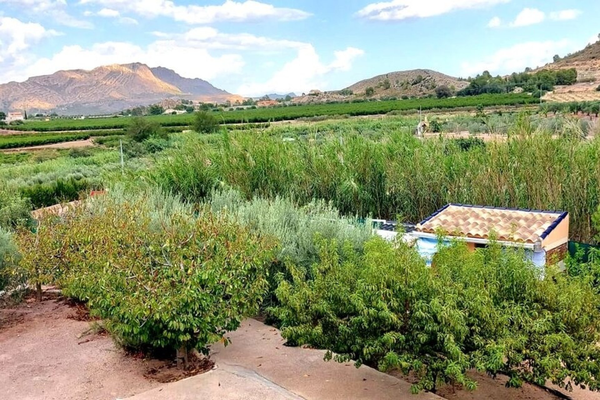 Herverkoop - Villa -
Calasparra - Inland