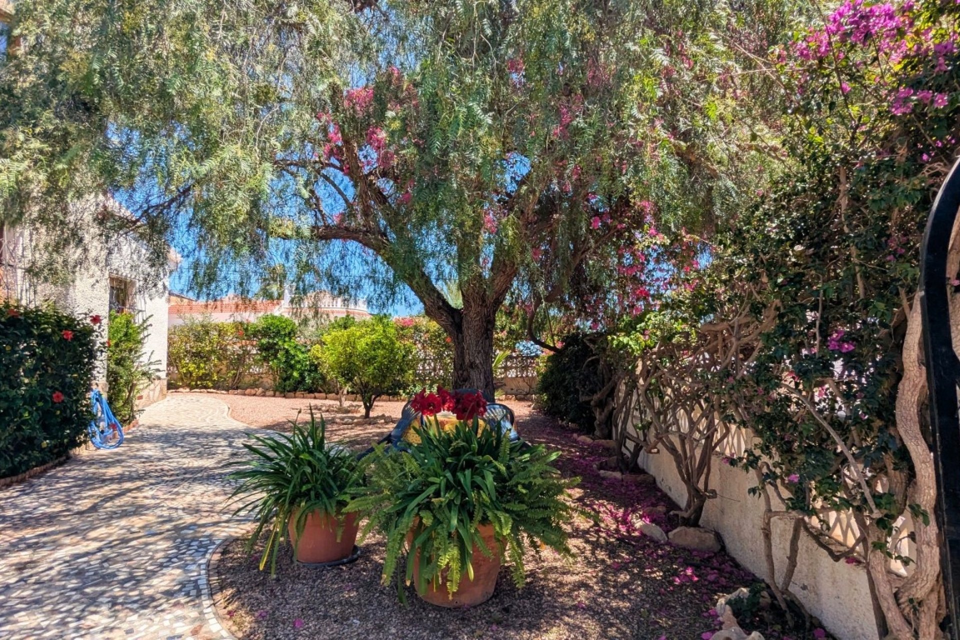 Herverkoop - Villa -
Ciudad Quesada - Costa Blanca
