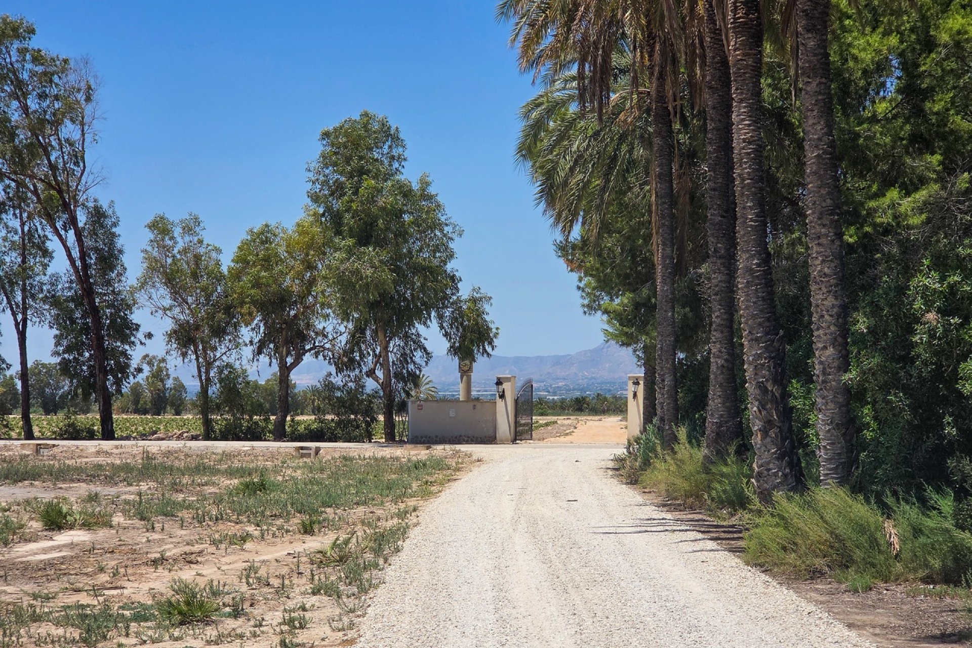 Herverkoop - Villa -
Elche - Costa Blanca