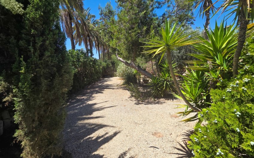 Herverkoop - Villa -
Elche - Costa Blanca