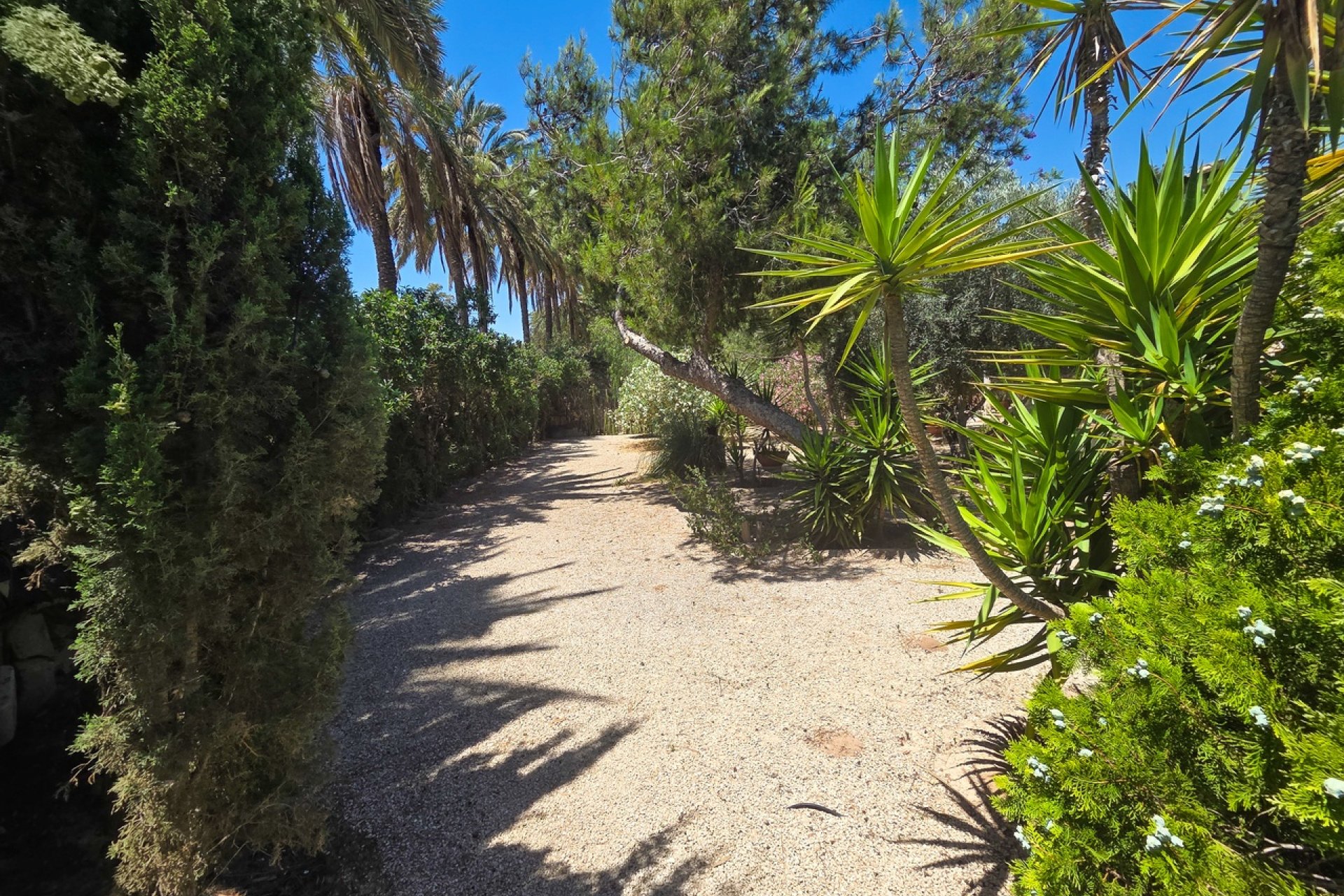 Herverkoop - Villa -
Elche - Costa Blanca