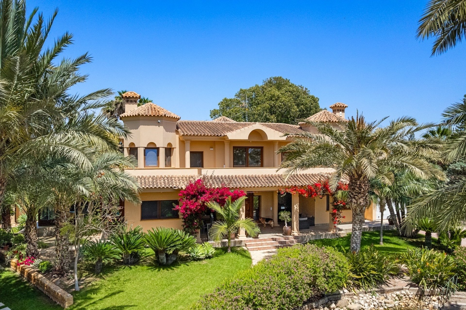 Herverkoop - Villa -
Elche